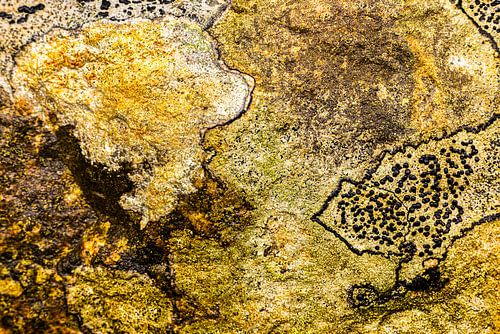 Abstract in nature by Rob IJsselstein