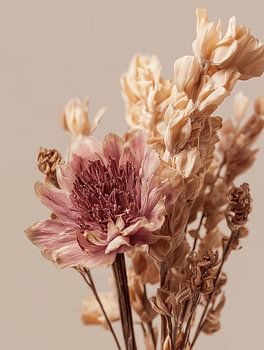 Bouquet de fleurs séchées beige sable chaud