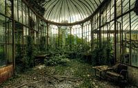 A Second Nature
