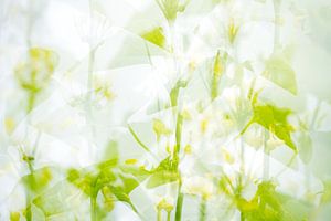 Abstracte bloemen