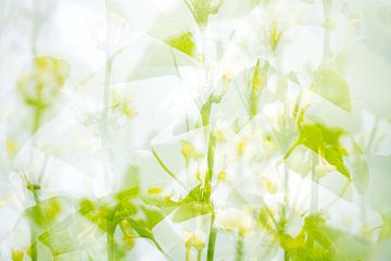 Abstracte bloemen