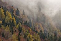 Nebliger Morgen in den Julischen Alpen in Slowenien
