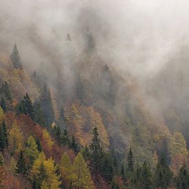Matin brumeux dans les Alpes juliennes de Slovénie sur Gunther Cleemput