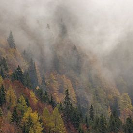 Mistige ochtend in de Julische alpen van Slovenië van Gunther Cleemput