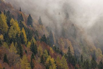 Nebliger Morgen in den Julischen Alpen in Slowenien von Gunther Cleemput