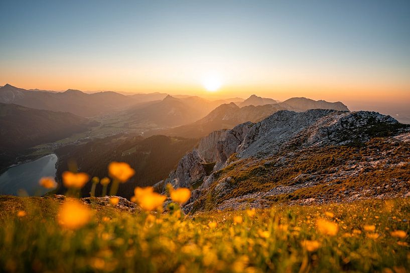 Flowery view of the Tannheim mountains at sunset by Leo Schindzielorz
