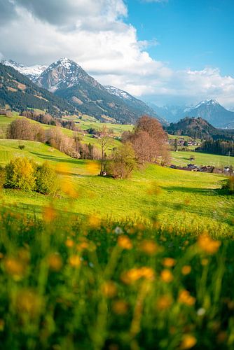 Lente-uitzicht in de Allgäu op de Allgäuer Alpen en de slotkerk St. Michael
