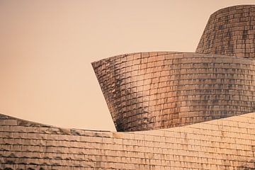 Guggenheim Museum, Bilbao van Henk Meijer Photography