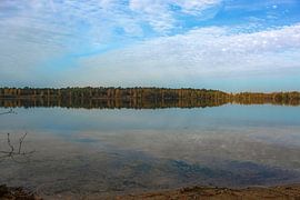 Maasduinen by Linda Herfs