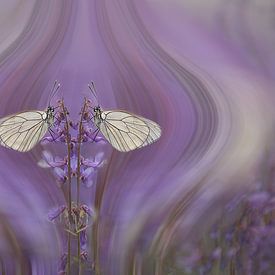 Double butterfly by Ina van Lambalgen