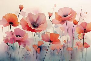 Mohnblumen