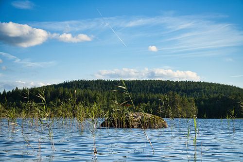 Meer in Zweden met witte wolken, blauw water en bomen aan de oever