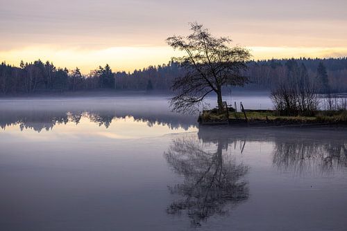 Island of Silence - Reflection at Dawn
