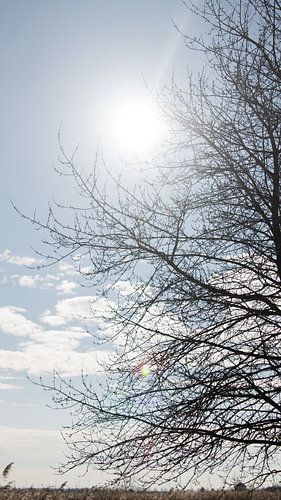 Sun is shining and so are you