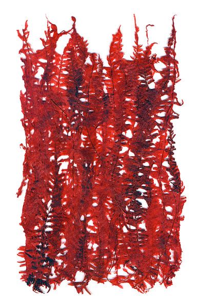 Feuilles de plantes rouges par ART Eva Maria