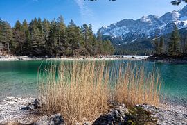 Eibsee im Winter