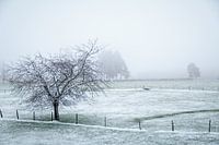 Winterlandschaft in Malmedy 3