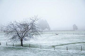 Paysage d'hiver à Malmedy 3 sur Christophe Fruyt