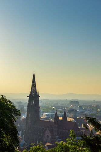Duitsland, Avondlicht boven de Minster van Freiburg im Breisgau
