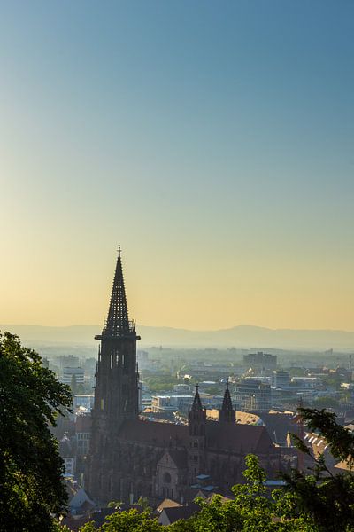 Germany, Evening light over Minster of Freiburg im Breisgau by adventure-photos