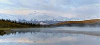  Mount Denali Alaska von Menno Schaefer Miniaturansicht