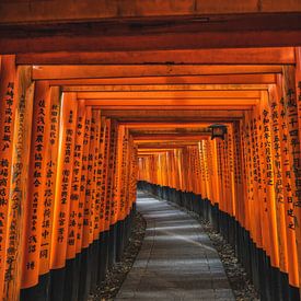 The Endless Gateway by Fushimi Inari by Teun Ruijters
