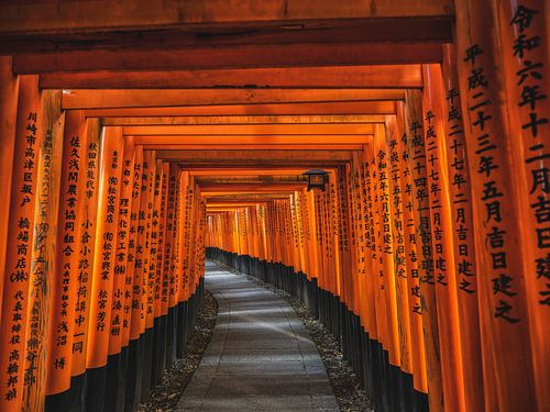 Das unendliche Tor von Fushimi Inari von Teun Ruijters
