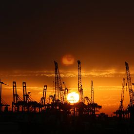 Sunset by Matthias Brix