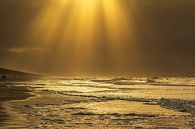 Golden seascape van Ilya Korzelius thumbnail
