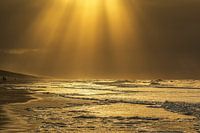 Golden seascape