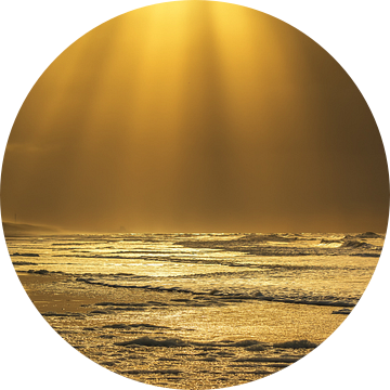 Golden seascape van Ilya Korzelius