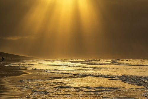 Golden seascape