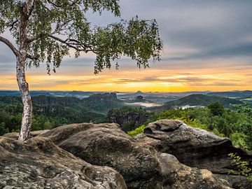 Carolafelsen, Saxon Switzerland - Birch tree and Schrammsteine by Pixelwerk