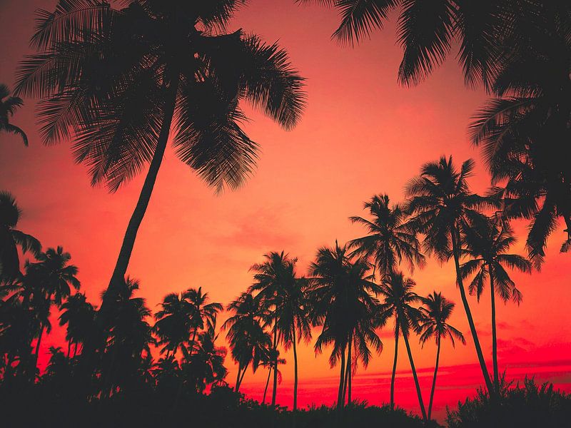 Maldives by Hello Pompoyo