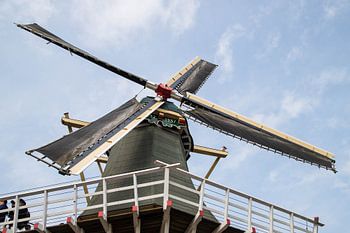 Keukenhof
