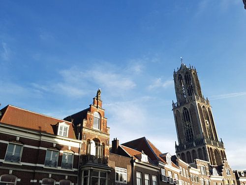 Domtoren in Utrecht