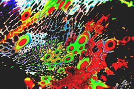 Abzug mit 2 Rosen von Tatjana Korneeva