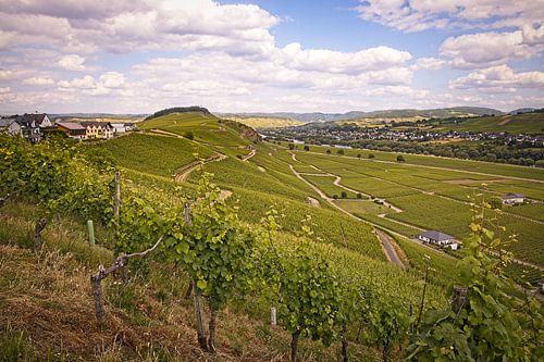 Moseltal-Panorama bei Osann-Monzel