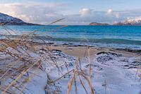 Een prachtig besneeuwd strand in Noorwegen