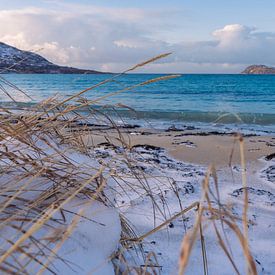 Een prachtig besneeuwd strand in Noorwegen van Kimberly Lans
