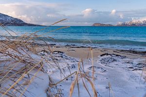 Een prachtig besneeuwd strand in Noorwegen van Kimberly Lans