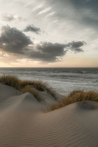 Duinen
