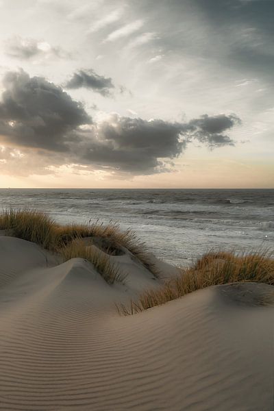Dunes by Rik Verslype