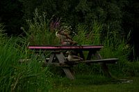 ganzen picknick
