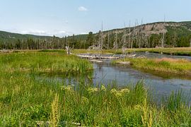 Yellowstone National Park by Studio Retouched fotoshop