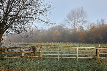 An einem kühlen Novembermorgen in Bünde | Nov. 2024 van Momentaufnahme | Marius Ahlers