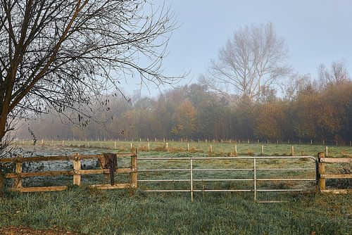 An einem kühlen Novembermorgen in Bünde | Nov. 2024