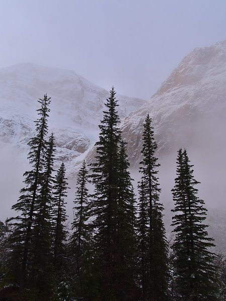 Berg im Nebel von Timon Schneider