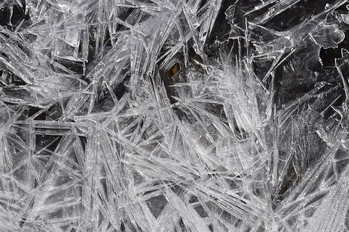 Vorst op een beek in de herfst