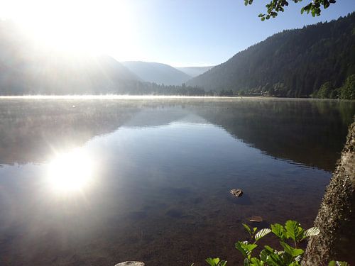 Zonnige mist bij Xonrupt-Longemer